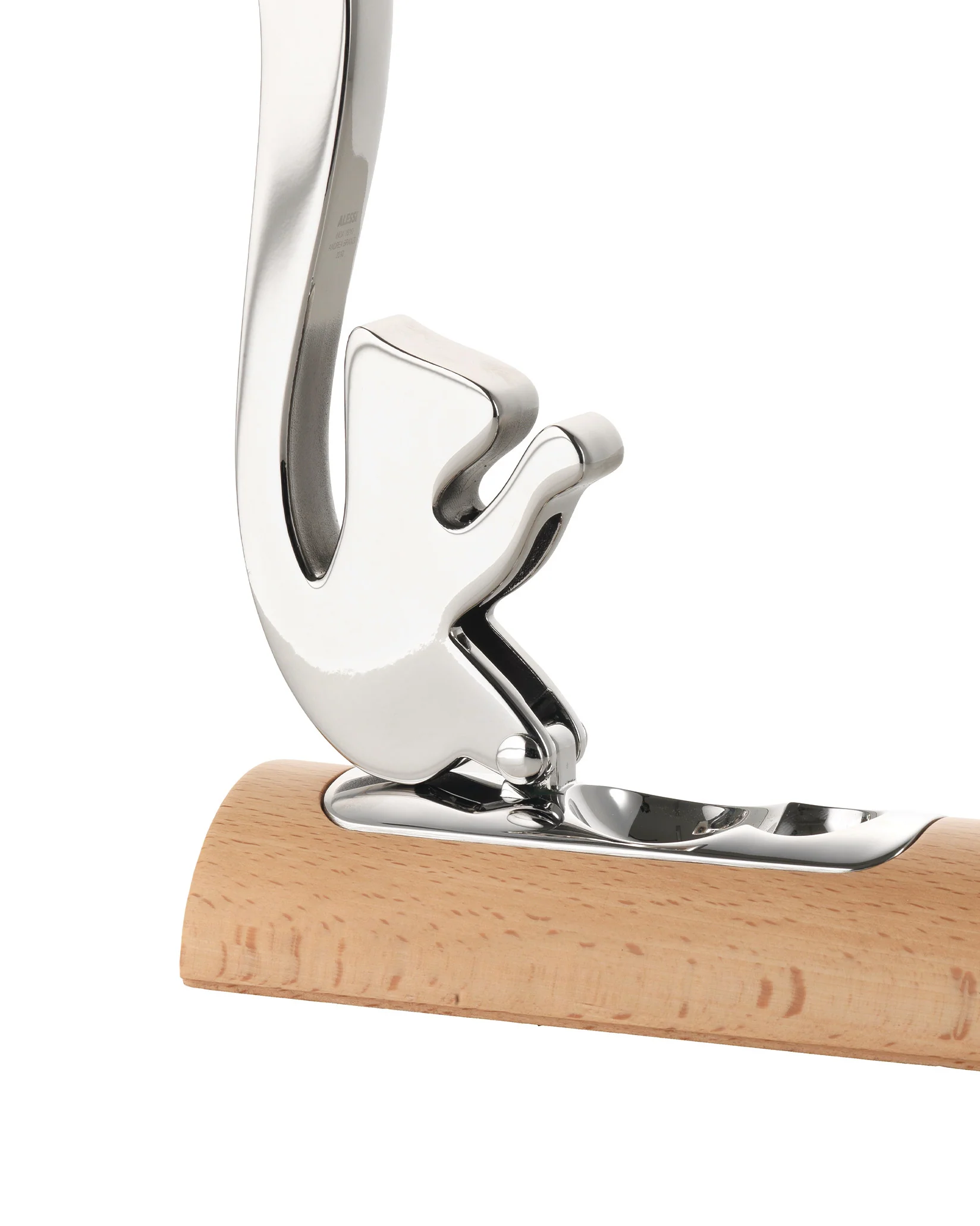 Scoiattolo - Image 3